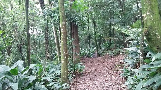Parque Previdencia